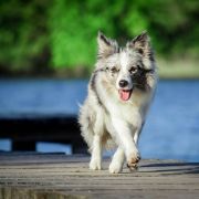 HIDE AND SEEK Mystique Regni