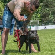 Sammael Asgard Staff