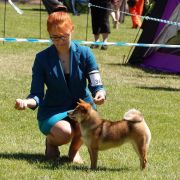 DOREMI KASHIKOI Subarashii