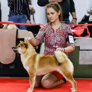 EKATO KADZUKEMONO DOREMI