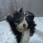 SWEETHEART El`Bridorado