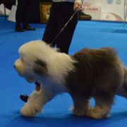 FINEZJA z Włochatej Chaty