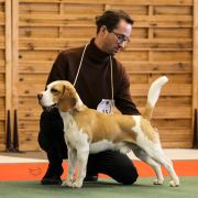 Ch. Pl GRAND MOFF TARKIN from Sith Empire