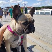 PIOU-PIOU Azzurro Tesoro