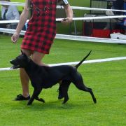 Sasouke Ancient Kynopolis