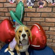 CHERRY SWEETS Królewska Zgraja 