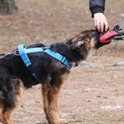 Craken vom Rikor Team