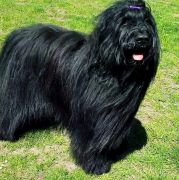 GODDNESS OF MY VICTORY Victory of Love