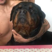 Ayaz di casa Glaunic