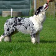 BLINK THE LIGHTING Valjeta