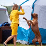 HOMER Pręgowce z Jasienia