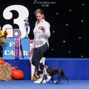 ABSOLUTELY CHARMING ALEX KHARKOV STYLE