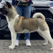 Alisa Hill of Hope FCI