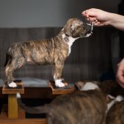 TIANA Because of Crazy Time 