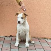 Too Good To Be True Via Fortuna