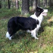 Anidamara FOLLOW TOGETHER 