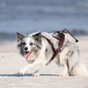 HIDE AND SEEK Mystique Regni