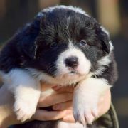 ABRAKADABRA Natalaland