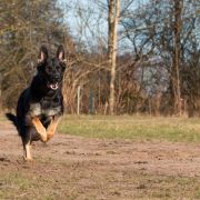 Easy del Camino Duro