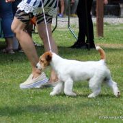 CHPL Z Ledulandu MULHACEN