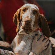 Di Daria Van De Flor Capri 4