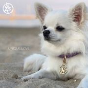 Daisy Princess Chi Lucky Charm