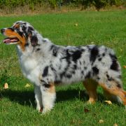 OASI DI FELICITA Della Terra Del Falco