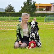 Lacrima Christi Cockta