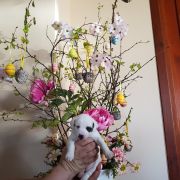 Ayama Winged Guardians FCI 