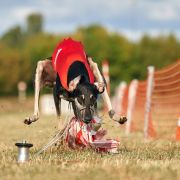 Borzomir Barfar Aman