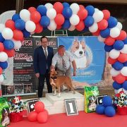 WILLYNWOOD DRAX THE DESTROYER POKEROWY ZYWOT