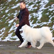 ORMUZ MOMO The Glow Of The Snowy Star