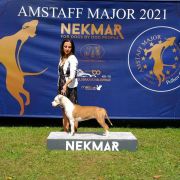 Royal Highness Via Fortuna