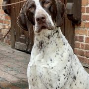 Jamajka z Czarnego Dworu