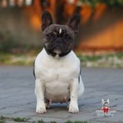 Kalispera Cortona Logones S.N.