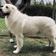 ISKIEREK Złota Grań