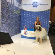 Greuceanu Roua de Partos