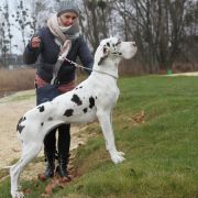 Ch.Pl, Gr.Ch.Pl ABBAIO CHUBBY HUBBY