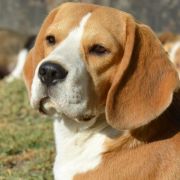 UNO MOMENTO KATTYVAL