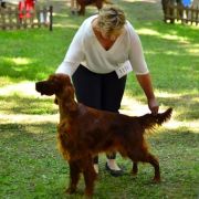 Irish Future (FCI) Diamond Sky