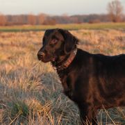 ONE AND ONLY From The Moominvalley