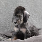 A Flame Of Anor Mithrin Sul