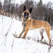 B-Aura spod Gazdorani