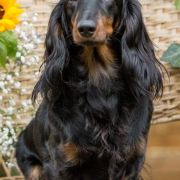 Ula La Hokus Pokus z Perłowej 