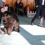 AFRICA FROM LAND OF WHITE WATTERS