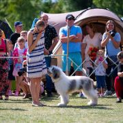 DREAM OF PORTHOS Collis Amores 