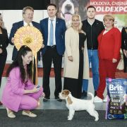 LITTLE MIRACLE HEAVENLY-BLESSING