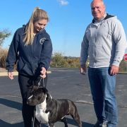 MISTER BUFFALO Pokerowy Żywot