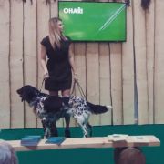 Gessi z Budišovské doliny