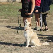 KISSES OF ANGEL CAIA